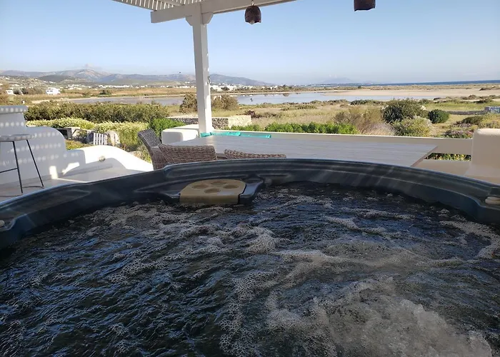 Blueberry * Mikri Vigla