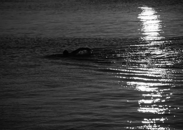 Вилла Blueberry *