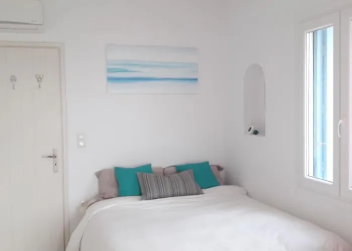 Blueberry * Микри-Вигла